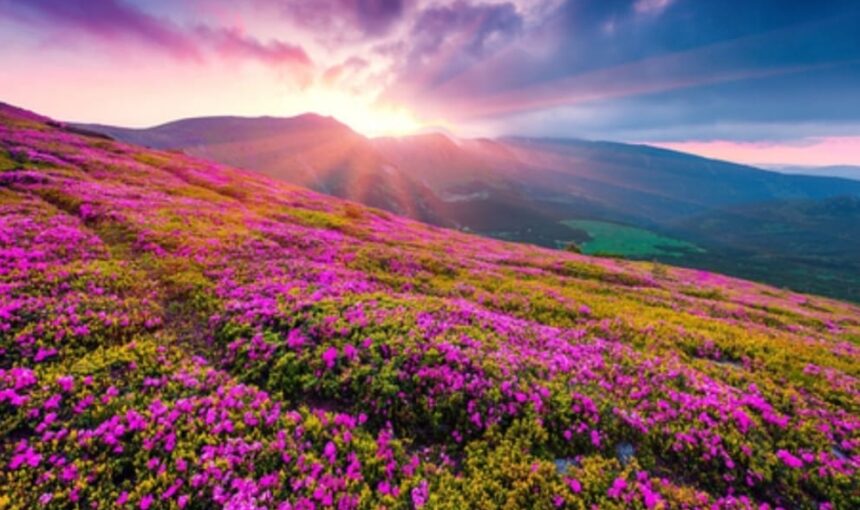Top 5 Magical Places to Visit in India During Monsoon Season