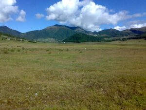 Phobjikha Valley
