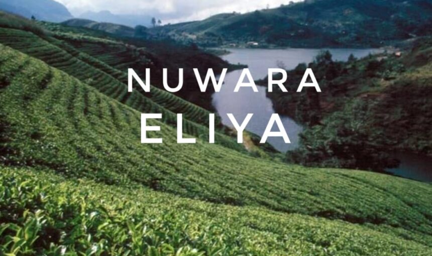 Top 6 Beautiful Places to Visit in Nuwara Eliya, Sri Lanka