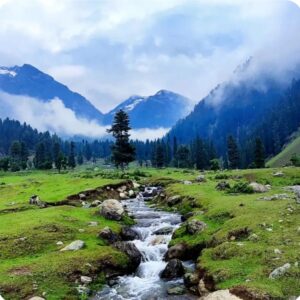 Aru Valley