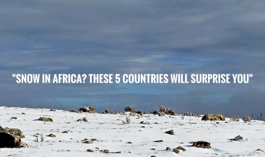 “Snow in Africa? These 5 Countries Will Surprise You!”