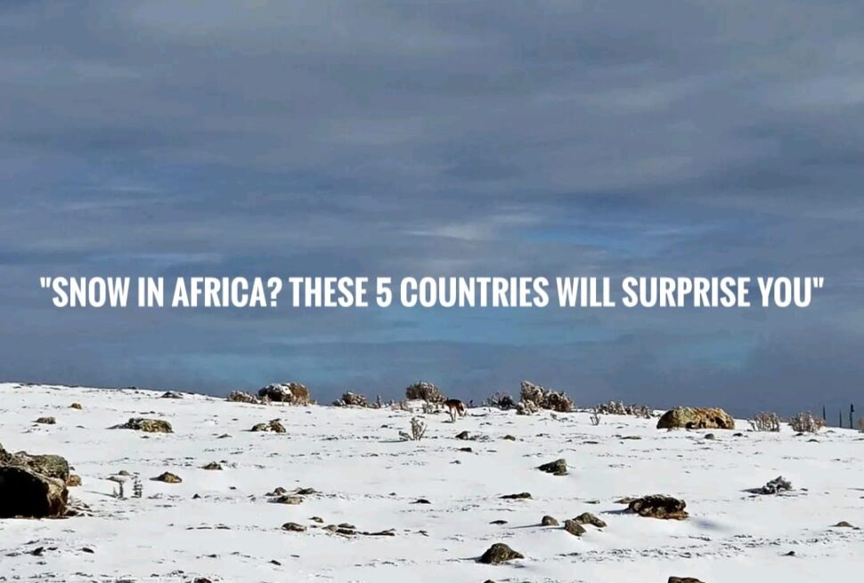 “Snow in Africa? These 5 Countries Will Surprise You!”