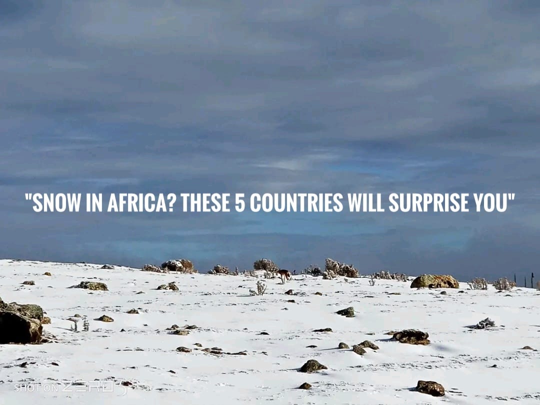 “Snow in Africa? These 5 Countries Will Surprise You!”