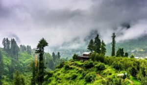 Kasauli