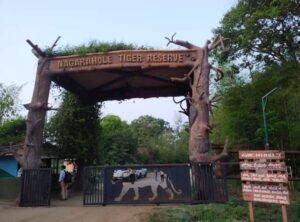 Nagarhole National Park, Karnataka