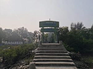 Sundarbans National Park, West Bengal