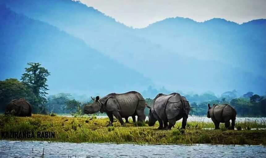 “India’s 9 Most Visited National Parks You Must Explore!”
