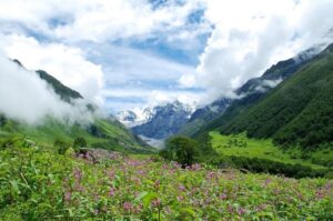 Valley of Flowers Trek