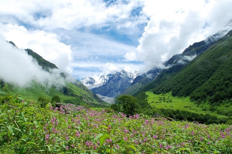 Valley of Flowers Trek