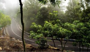 Yercaud, Tamilnadu