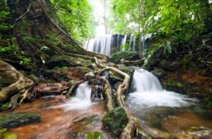Agumbe, Karnataka