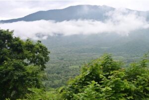 Araku Valley, Andhra Pardesh