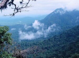 Agumbe, Karnataka