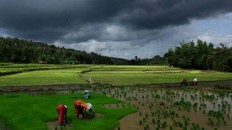 Wayanad, Kerala