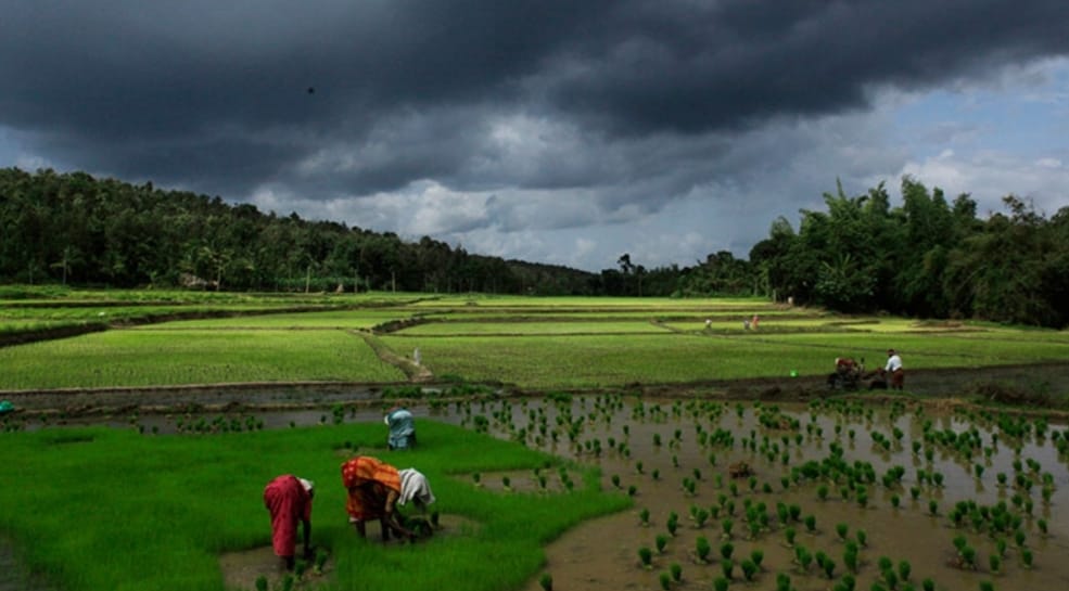 Wayanad, Kerala