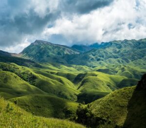 Dzukou Valley, Nagaland