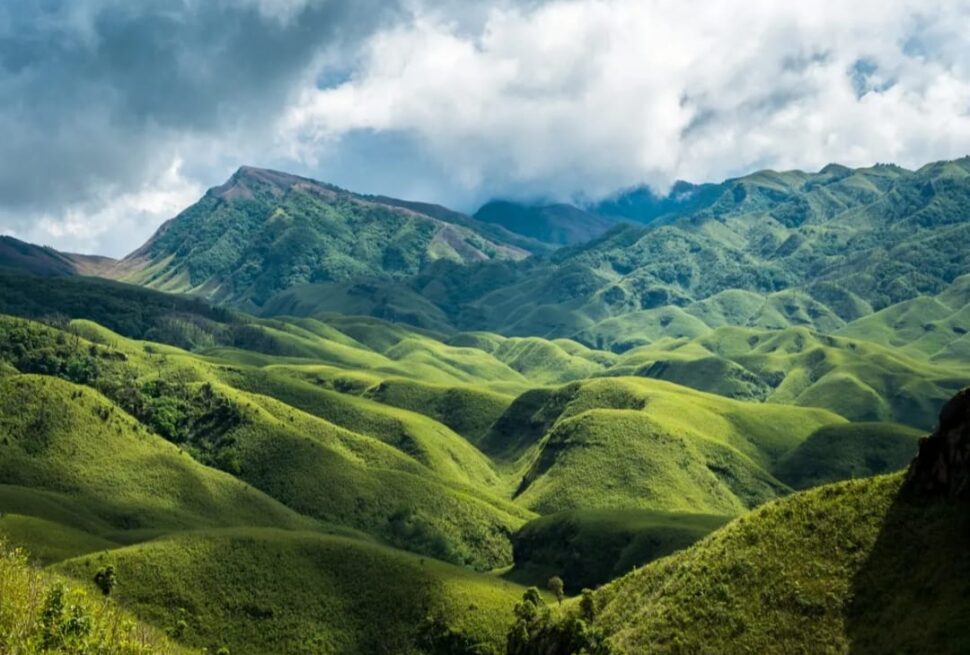 Dzukou Valley, Nagaland