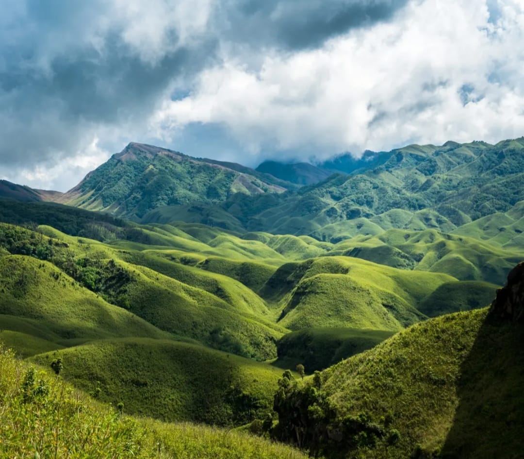Dzukou Valley, Nagaland