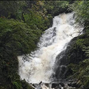 Killarney National Park, Ireland