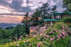  Landour, Uttarakhand