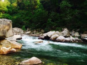 Gushaini, Himachal Pradesh