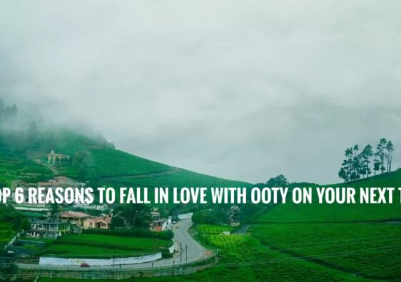 Top 6 Reasons to Fall in Love with Ooty on Your Next Trip