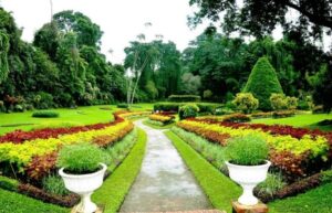 Royal Botanical Gardens, Peradeniya