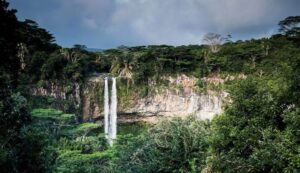 Black River Gorges National Park