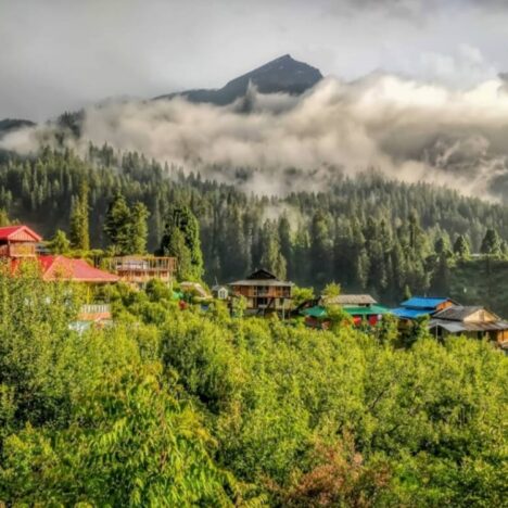 “Mauritius Travel Guide:10 Must-Visit Places in the Island Paradise”