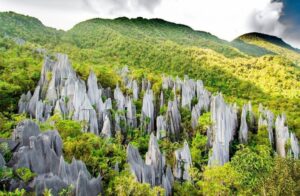 Gunung Mulu National Park
