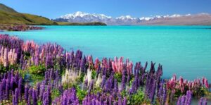 Lake Tekapo, New Zealand
