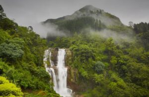 Nuwara Eliya
