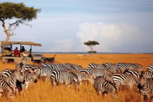 Maasai Mara – Kenya