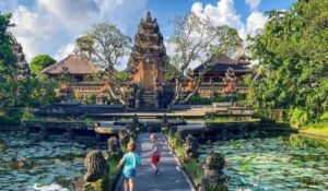 Explore Ubud and Its Rice Terraces