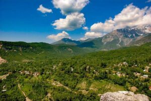 Arslanbob Walnut Forest